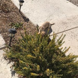 Meet your Posher, Gustavo